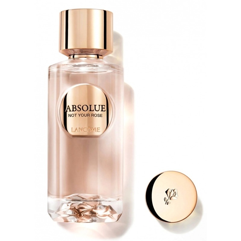 Absolue Not Your Rose