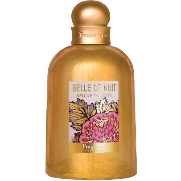 Belle de Nuit