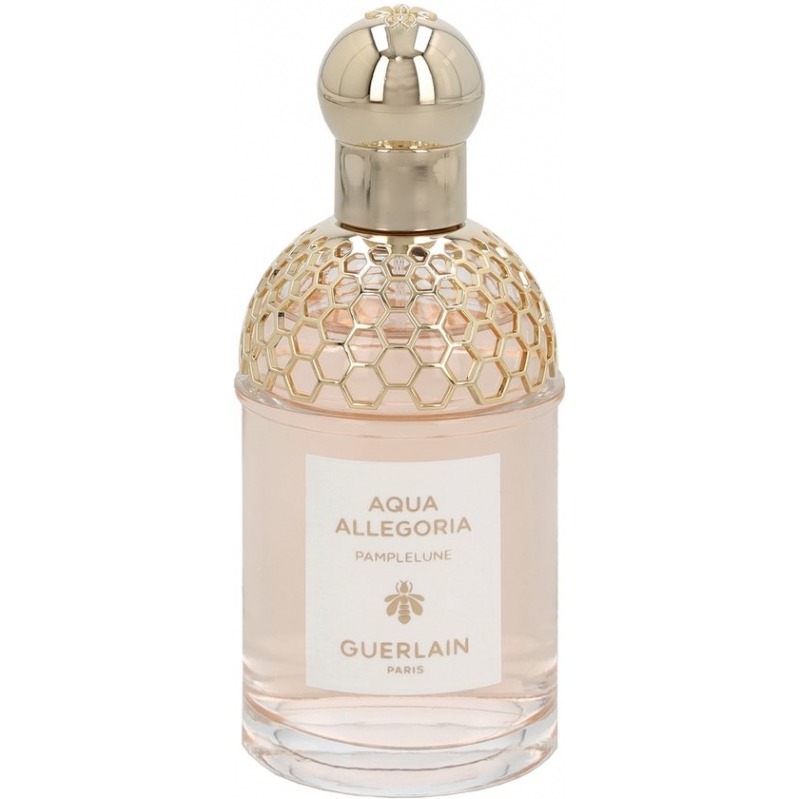 Aqua Allegoria Pamplelune