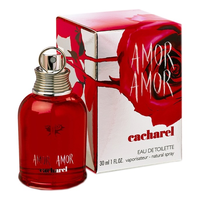 Amor Amor