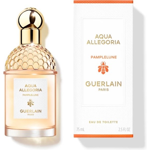 Aqua Allegoria Pamplelune