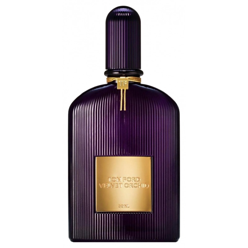 Velvet Orchid