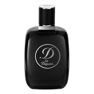 

So Dupont Paris by Night pour Homme