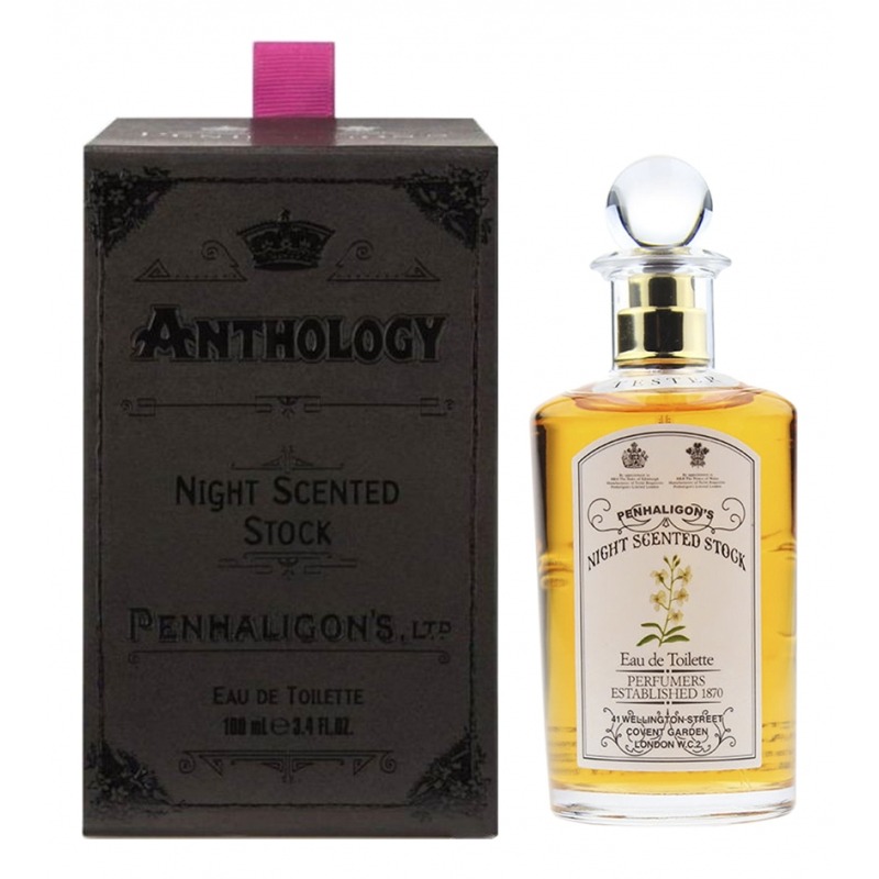 

Night Scented Stock