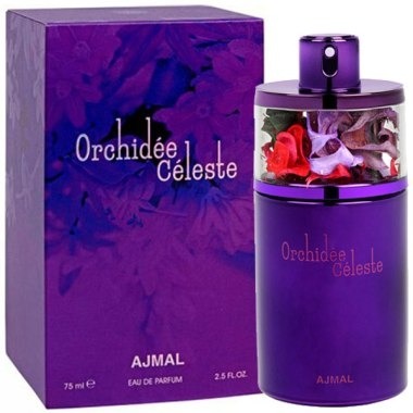 Orchidee Celeste