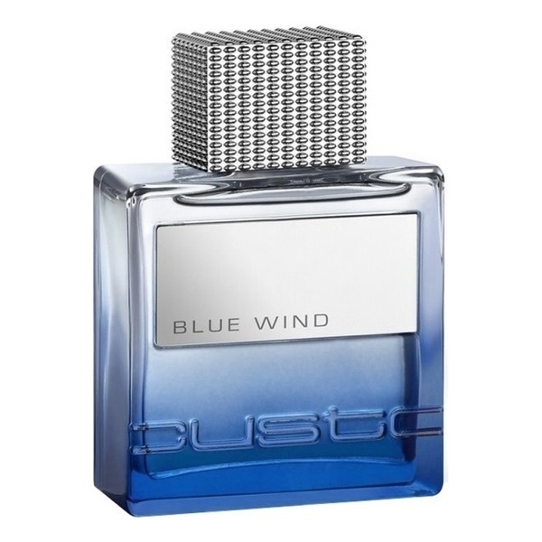 

Blue Wind