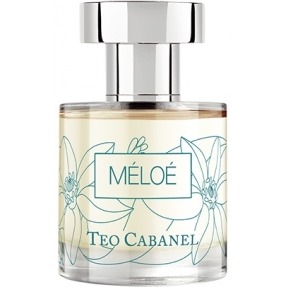 

Meloe